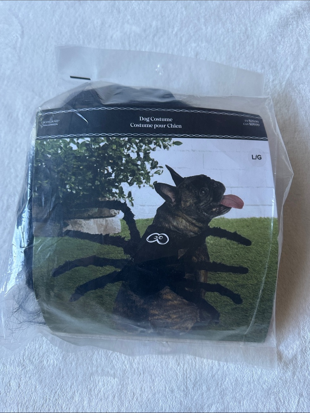 Halloween Spider Dog Costume